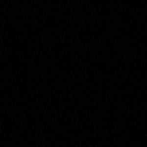 Meet your Posher, Carson